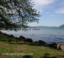 La rive du Lac d'Annecy, Duingt