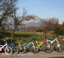 Bikes for all ages