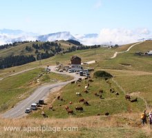 Randonnées dans les Bauges