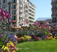 Fleurs en face de la gare d'Annecy