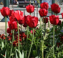 Printemps, la gare d'Annecy