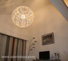 Pièce à vivre, haut plafond, lustre, apartplage