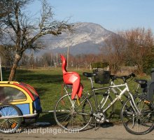 Vélos avec sièges bébés